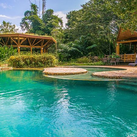 Banana Bamboo Ecolodge Ubatuba Exterior photo