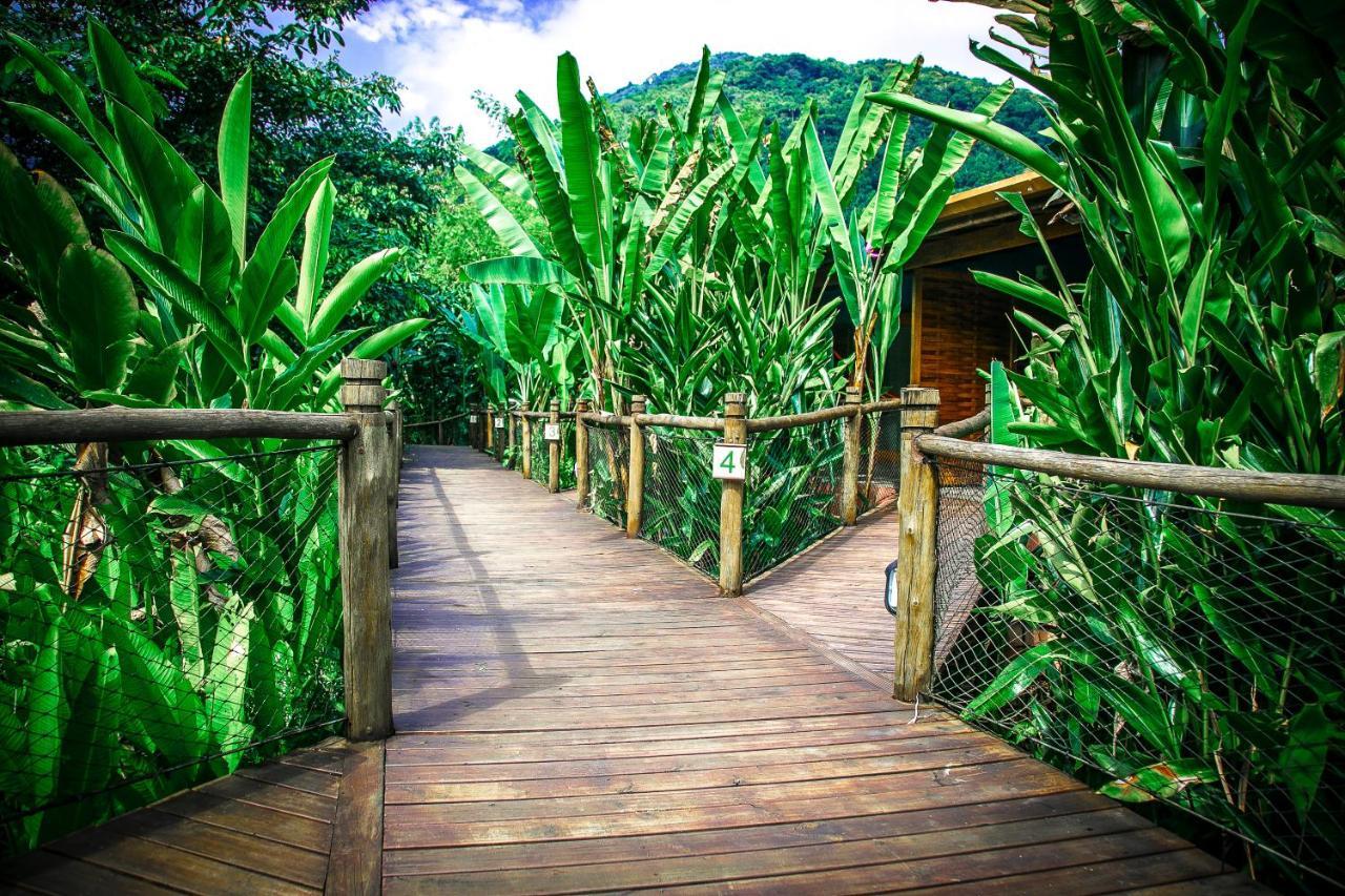 Banana Bamboo Ecolodge Ubatuba Exterior photo